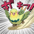 喋るインコUNICORN 3枚目