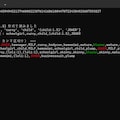 テキサス・ホールデム性癖ポーカー（2026/04/11）＋aiyuuさん10000いいね記念開帳 2枚目