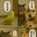 いぬとねこといんこ25 9枚目