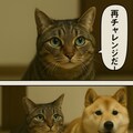 いぬとねこといんこ25 11枚目