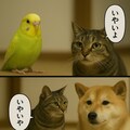 いぬとねこといんこ25 4枚目