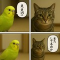 いぬとねこといんこ25 3枚目