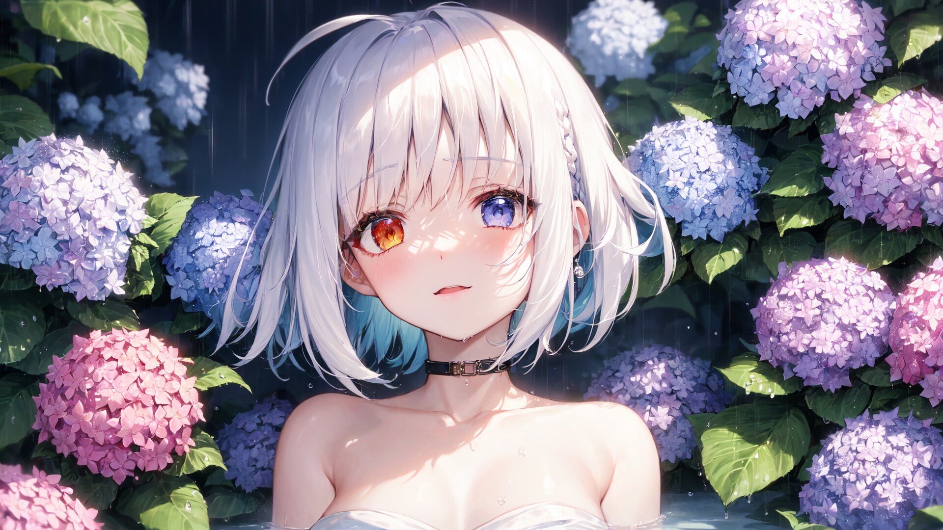 紫陽花