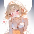 ファルダA207 3枚目
