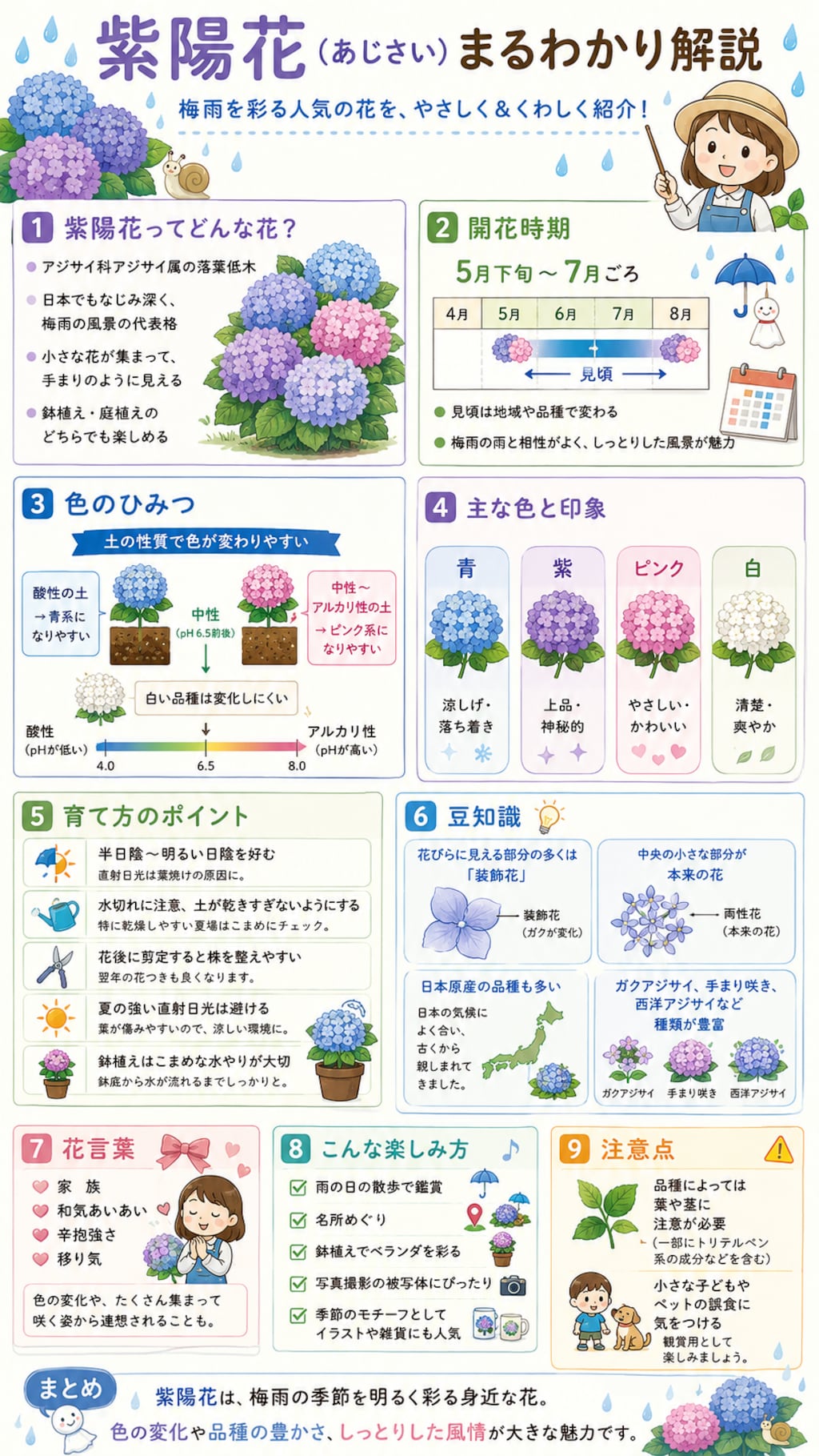 Secrets of the Rainy Season Bloom