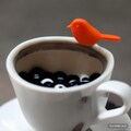Bird in coffee or bubble tea 5枚目