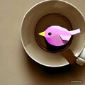 Bird in coffee or bubble tea 9枚目