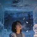 Fragments of Winter Falling Slow 3枚目