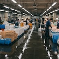 卸売市場の様子 4枚目