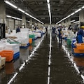 卸売市場の様子 2枚目