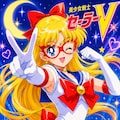 コードネームはセーラーV＆R 2枚目