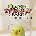 カプセルを開けるインコ 4枚目