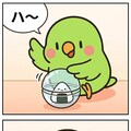 カプセルを開けるインコ 8枚目