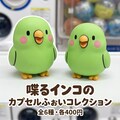 カプセルを開けるインコ 3枚目