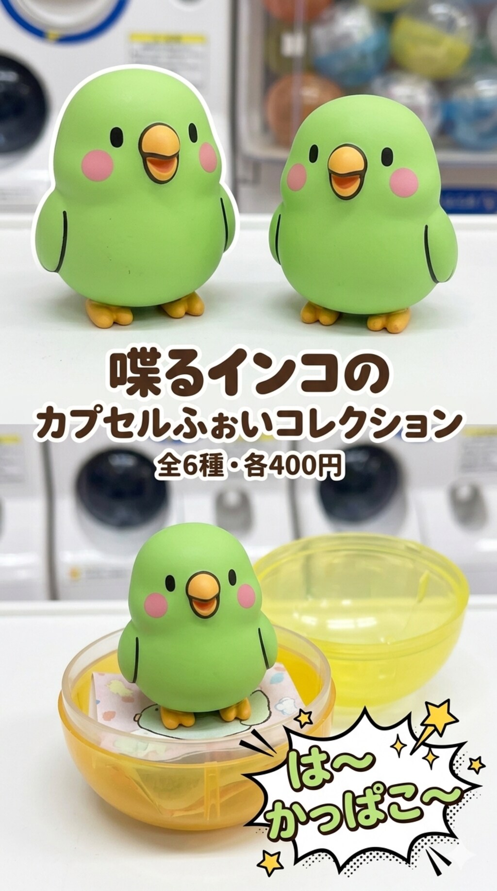 カプセルを開けるインコ