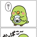 カプセルを開けるインコ 11枚目