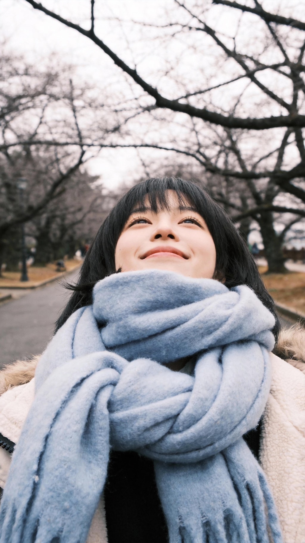 Wrapped in Frost and Wool