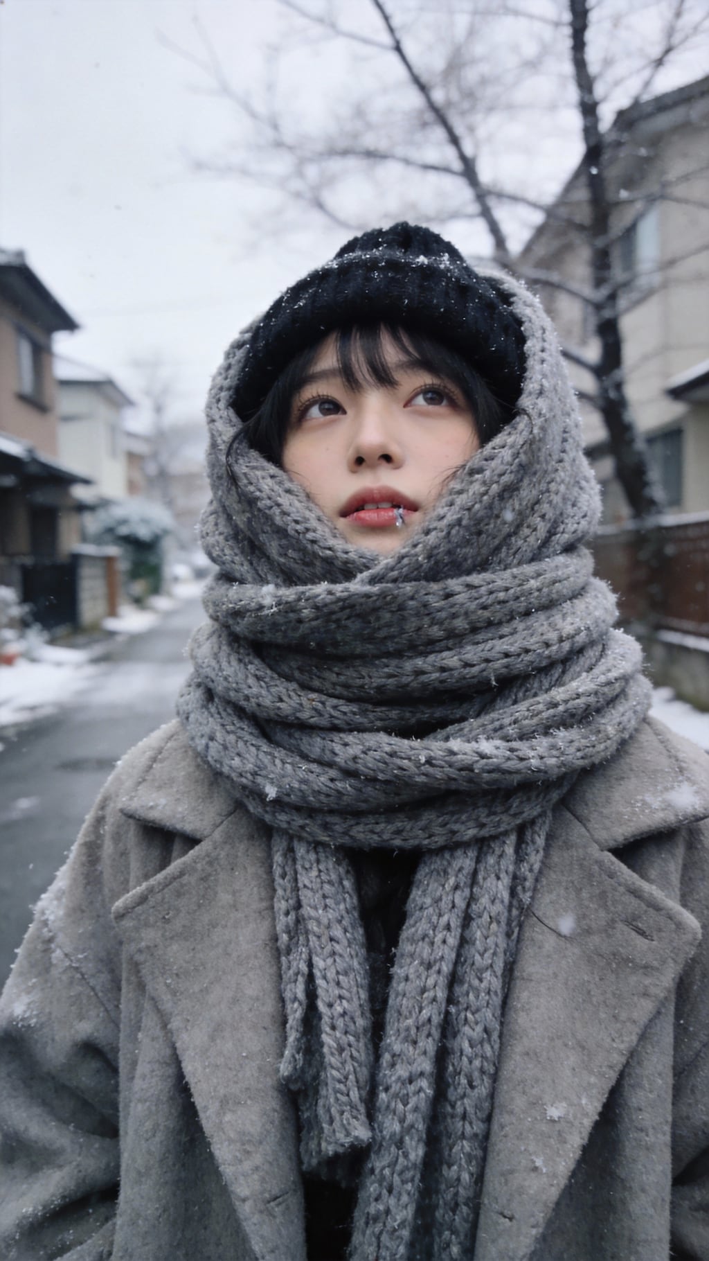 Wrapped in Frost and Wool