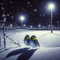 White-eyes in winter night (2) 6枚目