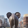 [がぞうどうぞ]画象🐘の像🗿 4枚目