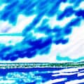 ブルーダリアちゃん出てきておくれ！ 5枚目
