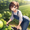 春キャベツ収穫 2枚目