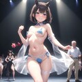 シルクダンサー 3枚目