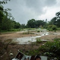 空き地ロマン 10枚目