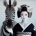 シマウマイコ 3枚目
