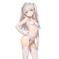 プリンセス 2548 12枚目