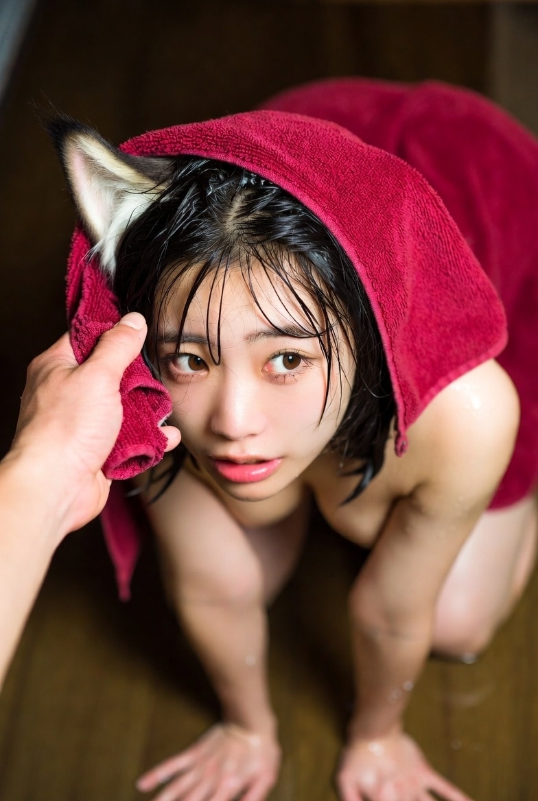捨て猫