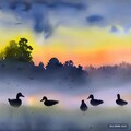 夕焼け霧の鴨群（2） 7枚目