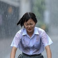 雨の強い日は嫌いか? 2枚目