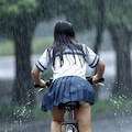 雨の強い日は嫌いか? 7枚目