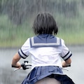 雨の強い日は嫌いか? 3枚目