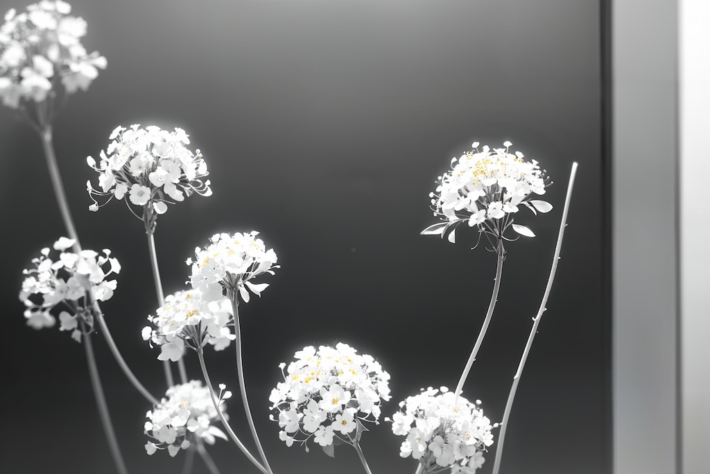 Simple Flowers