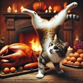 猫まっしぐら 8枚目