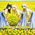 ポーズっ！ 2枚目