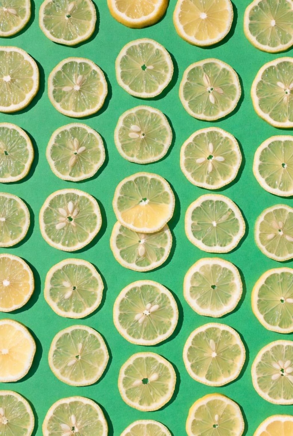 柑橘類の輪切り集