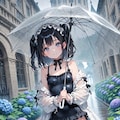 雨 6枚目