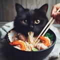 黒猫とseafood noodle 7枚目