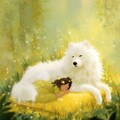 サモエド犬と女の子 2枚目