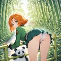 パンダ 10枚目