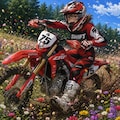 自然破壊オフロード女子 3枚目