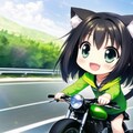 GREEN KITTEN TRIBE 40 (riding vehicle) 5枚目