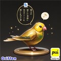 ゴールデン喋るインコ 4枚目