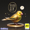 ゴールデン喋るインコ 3枚目