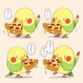 ピザ食う喋るインコ 3枚目