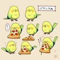 ピザ食う喋るインコ 5枚目