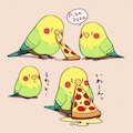 ピザ食う喋るインコ 6枚目